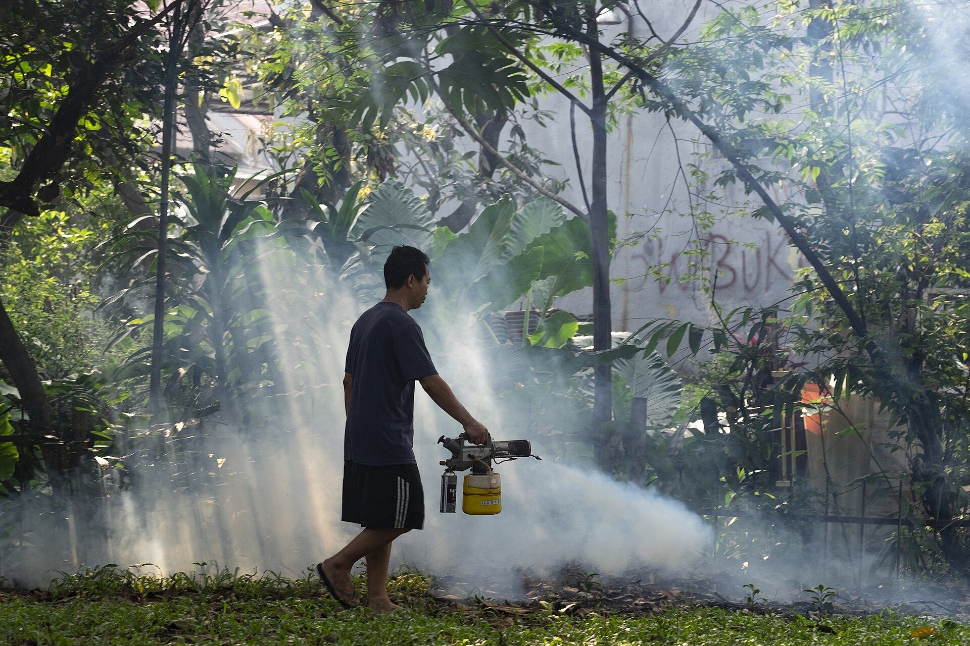 Técnico aplicando tratamiento contra zancudos en un jardín